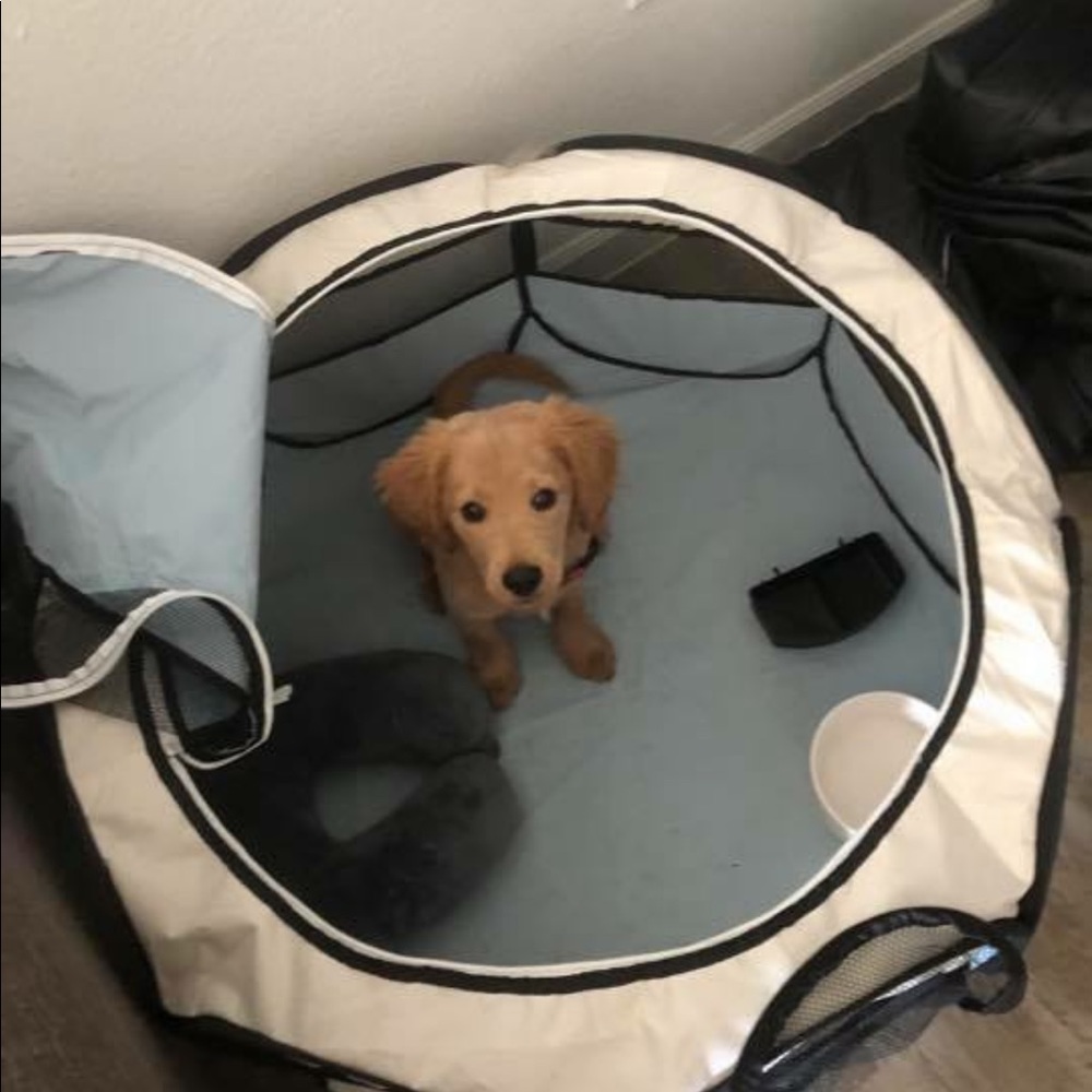 Portable play pen